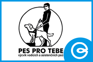 Pes pro tebe